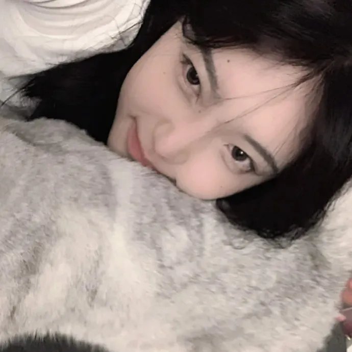 明星志愿
